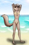  anthro arms_above_head beach bikini brown_eyes clothing dizzyvixen feet female flat_chested fluffy fluffy_tail gold_swimwear hi_res mammal mustelid musteline nipple_outline outside paws pinup pose seaside slim smile solo spots swimwear tail true_musteline two-piece_swimsuit weasel 