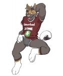  anthro barley_(barleythecat) clothing domestic_cat felid feline felis gato_matero hand_behind_head hand_on_leg hand_on_thigh hi_res leg_markings looking_at_viewer male mammal markings red_eyes shirt simple_background socks_(marking) solo tail tongue tongue_out topwear underwear 