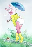  anthro blush clothing coat cobblestone diaper female gastropod grass hair hi_res lagomorph leporid long_ears looking_at_viewer mammal mollusk path pinecone_kicker plant ponytail question_mark rabbit rainboots raincoat raining snail solo topwear umbrella 