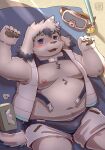  anthro beach belly blue_eyes blush bulge canid canine canis clothing domestic_dog eyewear fur goggles hi_res male mammal moobs navel nipples overweight seaside shinoda_kuma snorkel solo swimwear tajima_(tamacolle) tamacolle white_body white_fur 