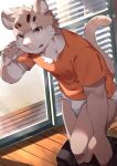  2023 5_fingers absurd_res agitoryuusaki anthro bulge clothing domestic_cat felid feline felis fingers fur hi_res inside lifewonders male mammal pink_nose shirt sitri solo t-shirt tail tokyo_afterschool_summoners topwear underwear undressing 