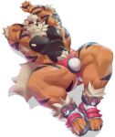  2023 abs ankle_tuft anthro arcanine arm_above_head arm_tuft armpit_hair black_body black_fur body_hair bulge canid canine claws cldmkr clothed clothing elbow_tuft finger_claws footwear fur generation_1_pokemon hair hi_res jockstrap jockstrap_only leg_tuft male mammal mane multicolored_body multicolored_fur muscular muscular_anthro muscular_male muscular_thighs nintendo nipples obliques orange_body orange_eyes orange_fur pawpads pecs pokemon pokemon_(species) pubes red_clothing red_footwear red_jockstrap red_shoes red_underwear shoes simple_background solo stretching striped_body striped_fur stripes tan_hair toe_claws toeless_footwear toeless_shoes topless tuft two_tone_body two_tone_fur underwear underwear_only white_background 