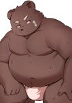  2023 absurd_res anthro band-aid bandage bear belly big_belly brown_body bulge clothing hi_res humanoid_hands kemono male mammal moobs navel overweight overweight_male solo trail_arnak underwear 