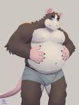  2023 absurd_res anthro belly big_belly brown_body bulge clothing hi_res humanoid_hands kemono male mammal moobs murid murine musclegut navel nipples nookdae overweight overweight_male pink_nose rat rodent solo underwear 