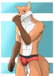  abs absurd_res anthro canid canine clothed clothing fox fur hi_res looking_at_viewer male mammal muscular muscular_anthro muscular_male orange_body orange_fur simple_background solo white_body white_fur xzenonart 