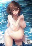 1girl :d breasts brown_eyes brown_hair comiket_102 content_rating cover cover_page covered_nipples doujin_cover highres kuronyan large_breasts long_hair looking_at_viewer nude open_clothes open_shirt original outdoors ponytail pregnant public_indecency public_nudity shirt smile standing water wet wet_clothes white_shirt 
