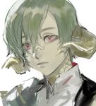  1boy au_ra final_fantasy final_fantasy_xiv frischenq green_hair hair_between_eyes horns looking_at_viewer male_focus parted_lips portrait red_eyes short_hair simple_background solo varshahn white_background 