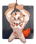  2023 anthro arknights balls canid canine canis domestic_dog erection fur genitals hair hands_above_head hi_res horn humanoid_genitalia humanoid_penis hung_(arknights) hypergryph jiasi997521 kneeling long_hair looking_at_viewer male mammal orange_hair orange_horn orange_tail penis restrained_arms solo studio_montagne tail tan_body tan_fur tongue tongue_out white_body white_fur white_hair wrists_tied yellow_eyes 