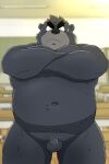  2023 anthro balls bear belly big_belly black_body black_nose flaccid genitals hi_res kemono male mammal navel overweight overweight_male penis scar shibatanukiti small_penis solo 
