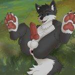  absurd_res anthro anus balls bedroom_eyes canid canine canis domestic_dog erection feet fluffy fur furry genitals hi_res husky knot leeny male mammal narrowed_eyes nordic_sled_dog pawpads paws seductive siberian_husky solo spitz wolf 