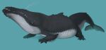  ambiguous_gender cetacean crocodile crocodilian crocodylid feral hi_res hybrid imo10yen mammal marine reptile scalie solo 