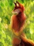  anthro brown_eyes butt canid canine depth_of_field female fox fur looking_at_viewer looking_back mammal nahadon plant red_body red_fur self_hug solo 