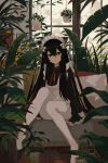  1girl absurdres animal_ears apron black_eyes black_hair black_shirt blush bow cat_ears cat_girl cat_tail closed_mouth collared_shirt conservatory couch day fern full_body hair_between_eyes hair_bow hanging_plant highres indoors kgt_(pixiv12957613) knees_up light_frown long_hair long_sleeves looking_at_viewer maid maid_headdress nature neck_ribbon no_shoes original pantyhose picture_frame plant potted_plant red_ribbon ribbon shirt sidelocks sitting sleeve_cuffs solo table tail vase white_apron white_bow white_pantyhose window 
