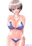  1girl :d absurdres arms_behind_head artist_name bikini blue_bikini blue_eyes blush breasts cleavage collarbone commentary cowboy_shot curvy fang grey_hair groin hair_between_eyes highres large_breasts looking_at_viewer navel open_mouth raised_eyebrows short_hair skin_fang smile solo stoneriver_ilst striped striped_bikini swimsuit thigh_gap two-tone_bikini uzaki-chan_wa_asobitai! uzaki_hana very_short_hair white_background white_bikini 