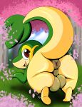  absurd_res anus balls butt cherry_blossom feral generation_5_pokemon genitals hi_res looking_at_viewer male nintendo outside plant pokemon pokemon_(species) puffy_anus snivy solo tepigfan101 
