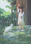  1girl absurdres arm_up brown_eyes brown_hair building cat day dress gown highres holding long_hair original outdoors rural saisho_(qpoujr) sandals solo white_cat 