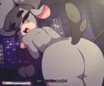  2d_animation 6:5 animated anthro artist_name big_butt black_eyebrows black_eyes black_hair black_tail blush blush_lines bovid bovine braided_hair butt cattle digital_media_(artwork) diives english_text eyebrow_through_hair eyebrows female fur genitals grey_body grey_fur grey_horn hair half-closed_eyes hi_res horn long_hair looking_at_viewer looking_back looking_back_at_viewer mammal narrowed_eyes nude open_mouth pink_inner_ear pink_pussy presenting presenting_hindquarters pussy raised_tail rear_view shaking_butt short_playtime solo tail teeth text tongue translucent translucent_hair twerking xingyun_(diives) xingzuo_temple 