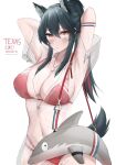  animal_ears arknights armpits arms_behind_head bag bikini black_hair blush collarbone covered_navel cowboy_shot dolphin english_text highres looking_at_viewer multicolored_hair nami_(namikare4) ponytail red_bikini see-through see-through_shirt shoulder_bag sidelocks streaked_hair swimsuit tail texas_(arknights) water_drop wet wet_clothes whistle whistle_around_neck wolf_ears wolf_girl wolf_tail yellow_eyes zipper zipper_pull_tab zipper_sleeves 