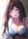  1girl bare_shoulders blue_bra blush bra breasts brown_hair c_yorimo cleavage collarbone eyelashes highres idolmaster idolmaster_shiny_colors large_breasts long_hair looking_at_viewer partially_undressed red_eyes smile solo tareme tsukioka_kogane underwear 