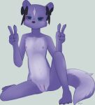  aggressive_retsuko anthro areola blue_eyes female genitals gesture looking_at_viewer nipples nude purple_body pussy sanrio shikabane simple_background solo spread_legs spreading v_sign vidfox 