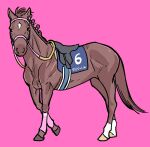  bridle character_name commentary highres horse looking_at_viewer no_humans pink_background race_bib real_life reins riding_crop saddle sakura_laurel_(racehorse) simple_background takatsuki_nato translated 