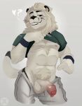  absurd_res anthro balls clothed clothing felid fur genitals hi_res jumpy_jackal lion looking_at_viewer male mammal pantherine penis simple_background solo whiskers white_body white_fur 