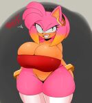  amy_rose barely_visible_genitalia barely_visible_pussy berkthejerk big_breasts breasts cleavage clothed clothing ear_piercing ear_ring eulipotyphlan genitals hedgehog huge_breasts legwear mammal panties piercing pussy ring_piercing sega sonic_the_hedgehog_(series) thick_thighs thigh_highs underwear 