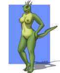  2023 absurd_res anthro argonian belly bethesda_softworks blue_background breasts female genitals green_body green_scales green_skin hands_on_hips hi_res horn looking_at_viewer nipples nude orange_eyes pupils pussy random73 scales scalie simple_background slit_pupils smile solo some_sangheili standing tail the_elder_scrolls yellow_belly 