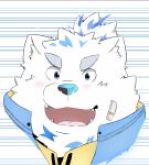  anthro bandage blue_eyes blush canid canine canis fur headshot_portrait hi_res kopepe_08 lifewonders live_a_hero looking_at_viewer male mammal portrait smile solo topknot white_body white_fur wolf yohack 