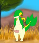  absurd_res anthro aroused blush bodily_fluids dripping erection generation_5_pokemon genital_fluids genitals grass green_body hi_res kamek_sans looking_at_viewer male navel nintendo outside penis plant pokemon pokemon_(species) precum precum_drip red_eyes slightly_chubby snivy solo tan_body thick_thighs tree vein veiny_penis 