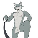  2023 abs anthro areola athletic athletic_anthro athletic_male balls beastars canid canine canis fur genitals grey_body grey_fur hi_res humanoid_genitalia humanoid_penis jrjresq legoshi_(beastars) looking_at_viewer male mammal nude penis simple_background solo wolf 