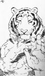  anthro eyes_closed felid gesture hi_res lupesilverwind male mammal monochrome neck_tuft nipples pantherine pawpads solo stripes tiger tuft waving waving_at_viewer whiskers 