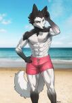  absurd_res anthro beach black_body black_fur canid canine clothing fluffy fluffy_tail fur green_eyes hi_res male mammal multicolored_body multicolored_fur nipples pgm300 seaside solo swimming_trunks swimwear tail two_tone_body two_tone_fur white_body white_fur 