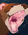  ambiguous_gender blue_eyes blue_pupils bodily_fluids brown_body brown_fur brown_nose cheek_tuft dripping facial_tuft fangs fur hi_res lionfloof looking_at_viewer mammal mouth_shot mustelid musteline open_mouth pudask pupils saliva saliva_drip saliva_string solo species_request tan_body tan_fur teeth tuft 