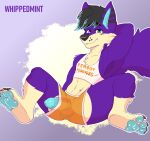 2023 anthro butt canid canine clothing colored crop_top digital_drawing_(artwork) digital_media_(artwork) erection femboy_hooters genitals girly hi_res male mammal pawpads paws penis shaded shirt solo topwear whippedmint 