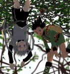  2boys backpack bag black_hair blue_eyes blush brown_eyes fishing_rod gon_freecss green_footwear green_jacket green_shorts highres hunter_x_hunter jacket kasukasugom1 killua_zoldyck layered_sleeves long_sleeves male_child male_focus multiple_boys on_tree outdoors shirt short_hair short_over_long_sleeves short_sleeves shorts smile spiked_hair upside-down white_hair white_shirt 