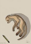  after_transformation anthro_to_feral brown_body brown_fur eleode eyes_closed feral fur herpestid lying male mammal meerkat on_side pencil_(object) shrunk simple_background solo striped_body striped_fur stripes transformation unconscious 