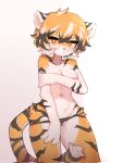  anthro areola arknights black_body blush breasts clothed clothing crayon_(artist) felid female genitals hi_res hypergryph looking_at_viewer mammal orange_body orange_eyes pantherine pussy simple_background solo studio_montagne tiger topless underwear underwear_only waaifu_(arknights) white_background white_body 