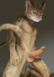  anthro blurred_background blurred_foreground domestic_cat erection felid feline felis hi_res looking_at_viewer male mammal nipples solo stampmats yellow_body yellow_eyes 
