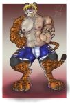  anthro clothing felid hi_res human legwear male mammal muscular pantherine tiger tights toggle_(artist) transformation wrestler 