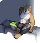  abs absurd_res anthro asleepchef biceps blue_eyes bottomwear brown_body bulge canid canine canis clothing domestic_dog hair hi_res male mammal multicolored_body muscular muscular_male nipples pants pecs pose shiba_inu shirtless_male simple_background sitting solo spandex spandex_clothing spitz tight_clothing two_tone_body 