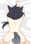  1boy 1girl animal_ears ass azur_lane back black_hair completely_nude deep_penetration doggystyle grey_tail highres nude on_bed ponytail sbeve2004 sex sheet_grab shigure_(azur_lane) tail top-down_bottom-up vaginal wolf_ears wolf_girl wolf_tail 