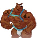  2023 abs anthro body_hair brown_body brown_fur bulge canid canine canis chest_hair clothed clothing dark_nipples domestic_dog dumbandgreen eyebrows facial_hair fur hanna-barbera hi_res male mammal muscular muscular_anthro muscular_male nipples pecs scooby-doo scooby-doo_(series) smile solo underwear 