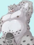  2023 absurd_res anthro armpit_hair balls barely_visible_balls barely_visible_genitalia belly big_belly blush body_hair eyewear felid fur genitals glasses grey_body grey_fur hi_res kemono male mammal moobs nanntaro navel nipples overweight overweight_male pantherine snow_leopard solo 