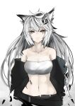  1girl :3 absurdres akasabi animal_ears arknights bandeau bare_shoulders black_jacket breasts commentary grey_hair hair_ornament hairclip highres jacket lappland_(arknights) long_hair looking_at_viewer medium_breasts midriff navel off_shoulder oripathy_lesion_(arknights) scar scar_across_eye simple_background solo stomach strapless tube_top upper_body very_long_hair white_background wolf_ears yellow_eyes 