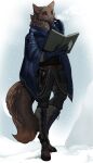  2023 5_fingers anthro blue_eyes book breasts brown_body brown_fur canid canine canis clothed clothing digital_media_(artwork) female fingers fur hi_res mammal solo standing tja wolf 