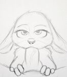  animated anthro canid canine disney duo fellatio female fox genitals judy_hopps knot lagomorph leporid lidded_eyes loop male male/female mammal oral penile penis rabbit sex slapfuzzy sucking zootopia 