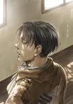  1boy absurdres ascot black_eyes black_hair chiruchiru from_behind highres jacket levi_(shingeki_no_kyojin) looking_at_viewer looking_back male_focus shingeki_no_kyojin short_hair solo sunlight survey_corps_(emblem) upper_body 