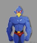  abs anthro avian belt bird blue_body blue_feathers bulge clothing falco_lombardi falcon falconid feathers grey_background hi_res male mattvalkyrie muscular muscular_anthro muscular_male nintendo pecs simple_background solo star_fox thong underwear 
