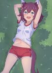  1girl alternate_costume animal_ears armpits arms_up blue_eyes blush breasts commentary_request grass groin hair_between_eyes hair_ornament highres horse_ears horse_tail looking_at_viewer lying medium_breasts navel pink_hair sakura_chiyono_o_(umamusume) shorts solo sweat tail umamusume yaya_eshage 